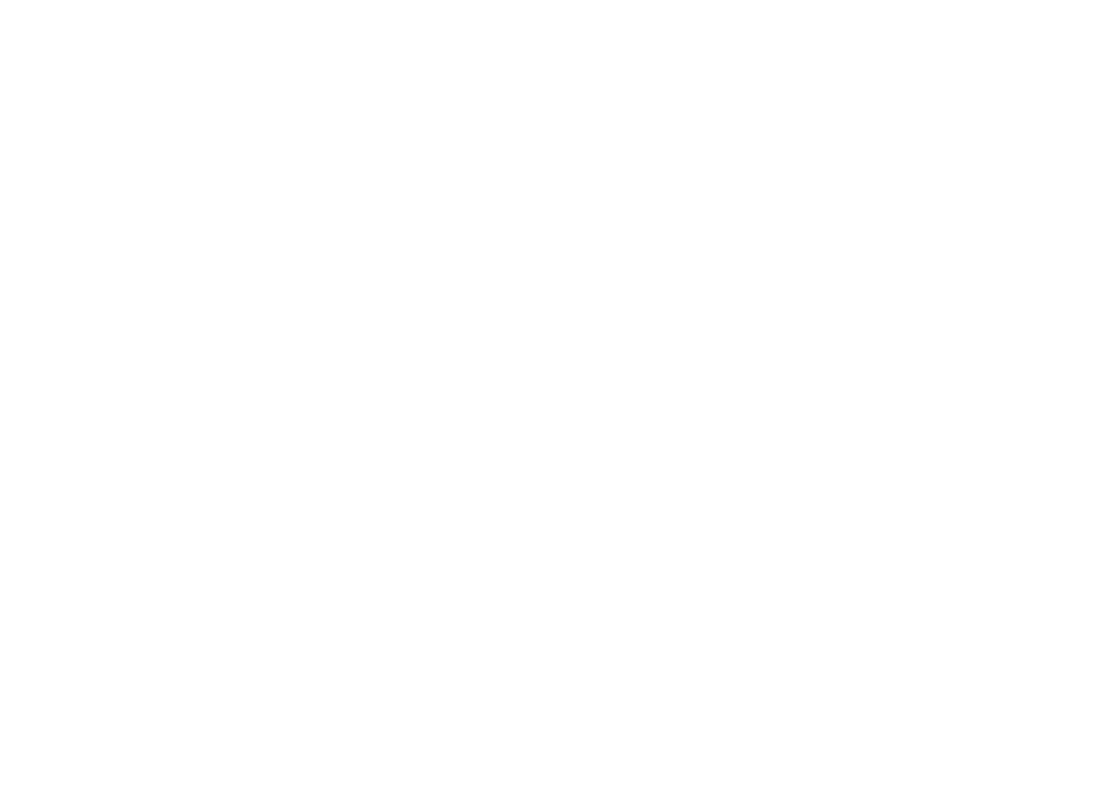 Boess Immobilien & Verwaltungs GmbH